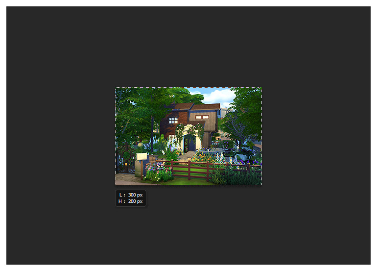 Chaque création possède une image miniature, qui sert lors de l'affichage sur la grille de recherche de la Galerie des Sims 4
